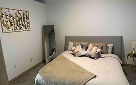 Luxury Cozy Loft Downtown Stl